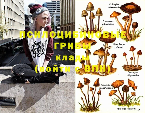 не бодяженный Навашино