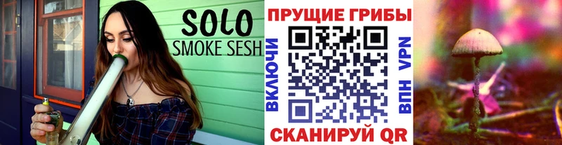 дарнет шоп Новокубанск Галлюциногенные грибы GOLDEN TEACHER