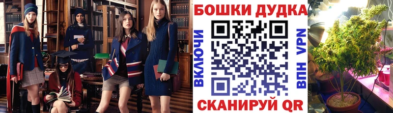 Бошки Шишки конопля  Новокубанск 
